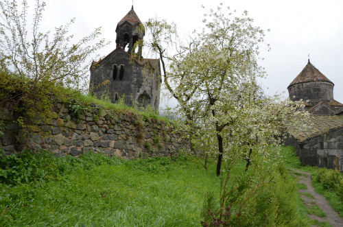 La primavera prova a sbocciare ad Haghpat