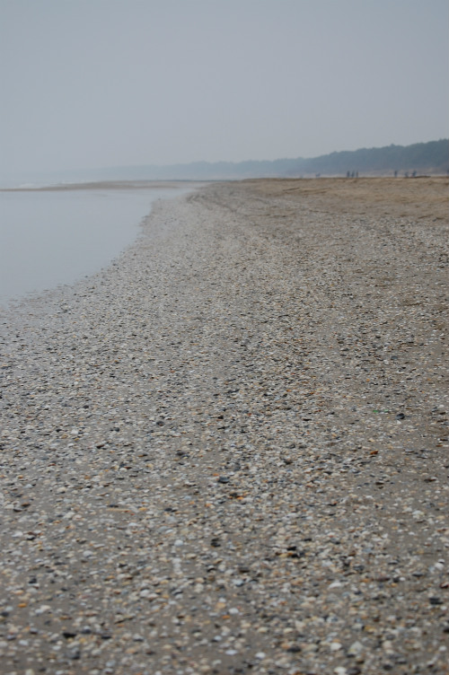 La spiaggia della Brussa