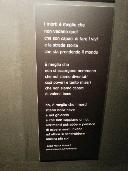 Le toccanti parole di Bonaldi