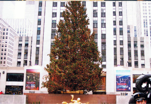 Un famoso albero di Natale :)