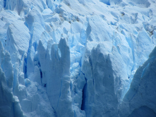 Picchi e frastagli del Perito Moreno