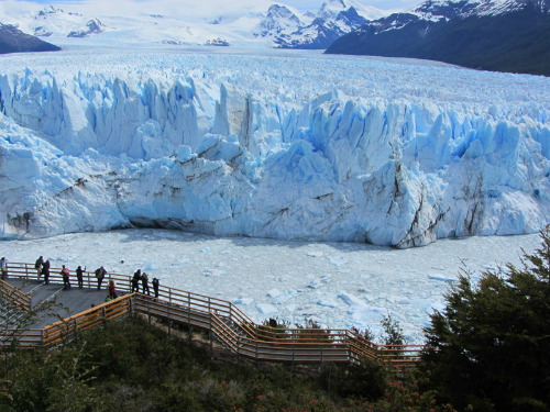 Perito Moreno dalle passerelle