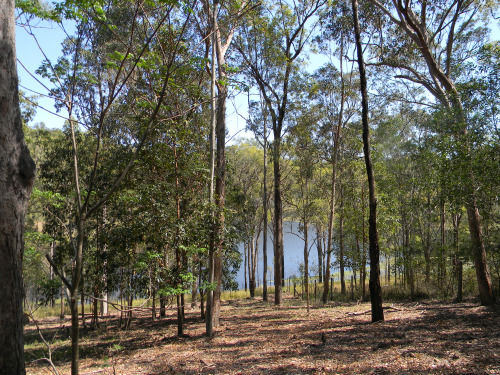 La vista da Walkabout Creek verso la Enoggera Reservoir 