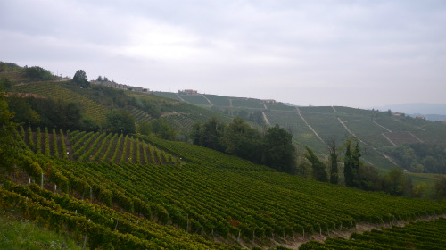 Un panorama della Langhe da Castiglione Tinella