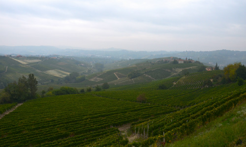 Un panorama della Langhe da Castiglione Tinella