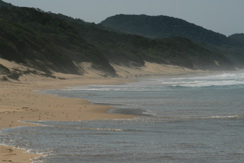 Cape Vidal