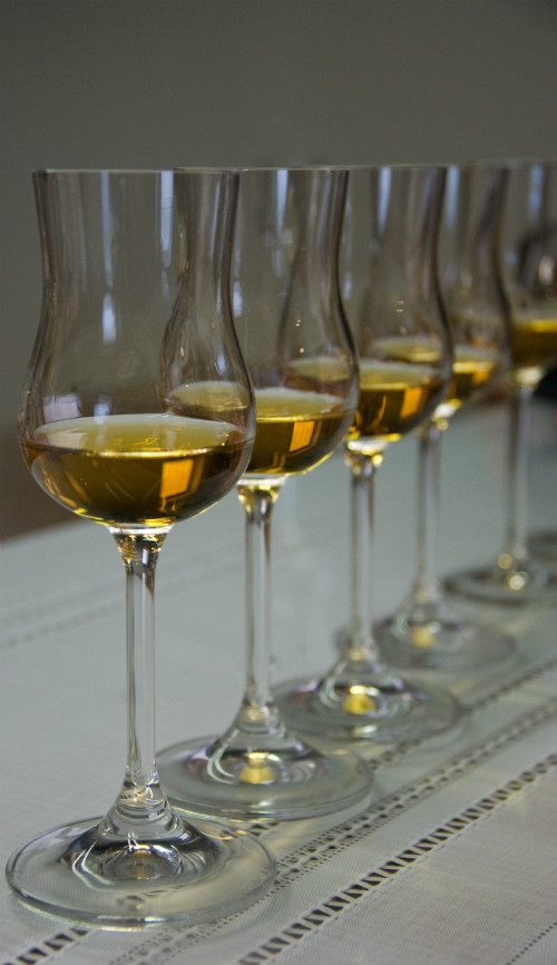 Degustazione grappa invecchiata