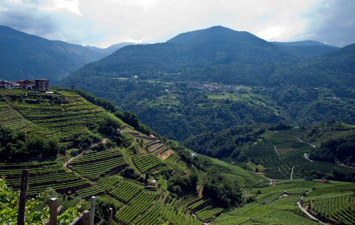 Un panorama… trentino! 