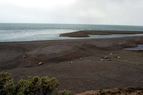 Penisola Valdes Argentina