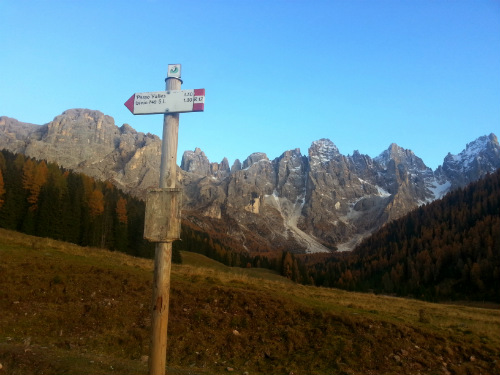 La Val Venegia e le Pale di San Martino