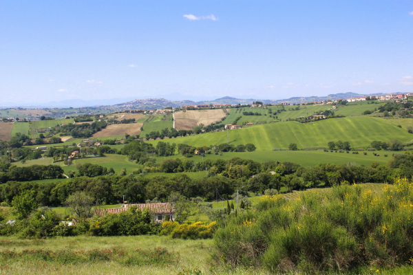 Colline e piccoli borghi attorno al b&b Campo del Mare