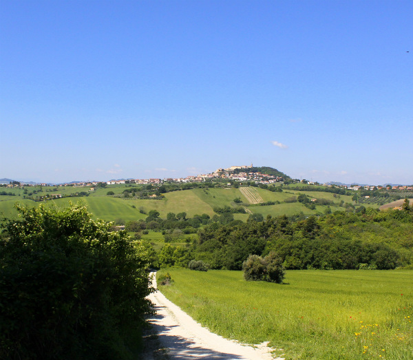 Un sentiero vicino al b&b Campo del Mare