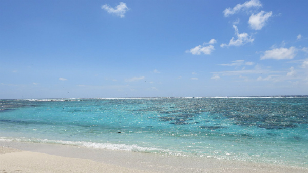 Snorkeling nella Lagoon (lato orientale dell'Isola) è stato magnifico - Lady Elliot Island, Great Barrier Reef Australia