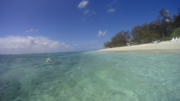 Snorkeling a Lady Elliot Island