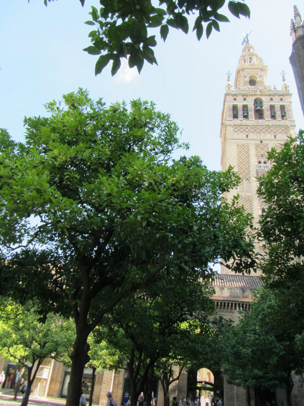 La Giralda, Siviglia 