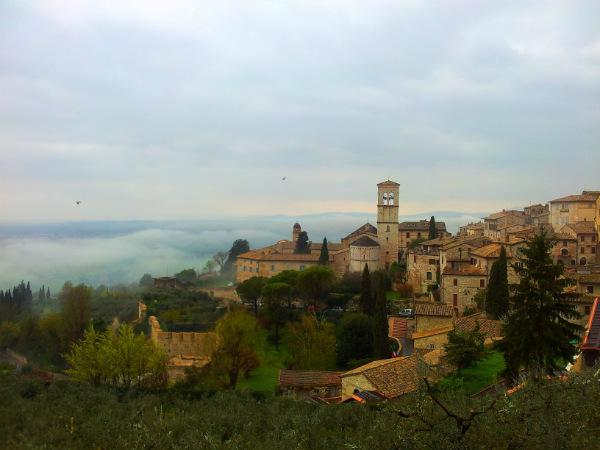 Scorci di Assisi 