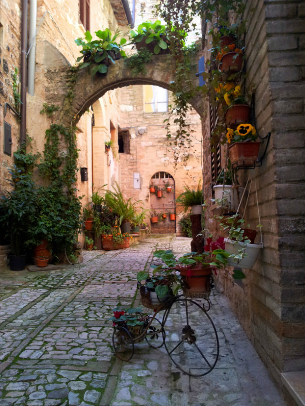 Bici con i fiori in un viottolo a Spello