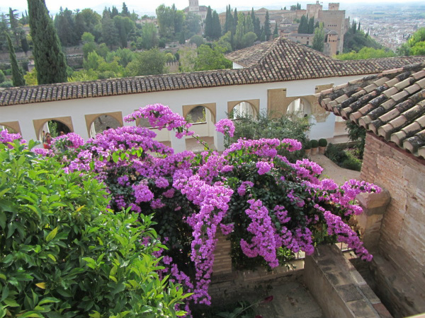 Paesaggio andaluso