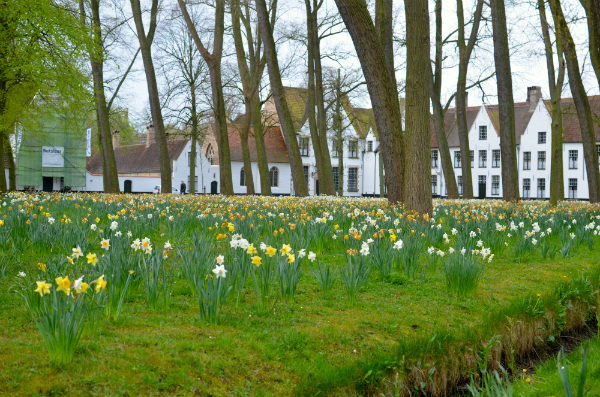 Il Beghinaggio (Begijnhof) di Bruges