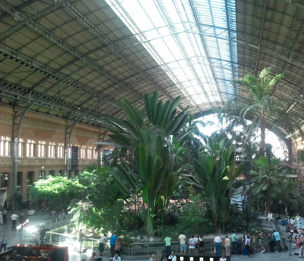 Il giardino tropicale alla stazione di Atocha