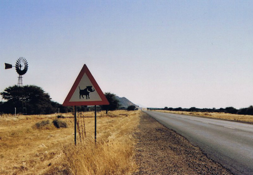 Attenzione ai facoceri, Namibia