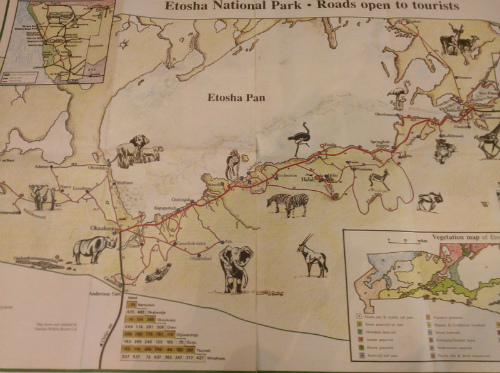 Al centro il Pan, intorno l'Etosha