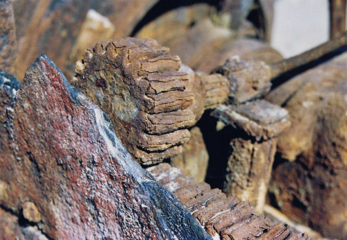 Relitto sulla Skeleton Coast, un ingranaggio