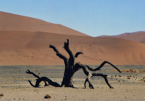Sossusvlei: Namibia