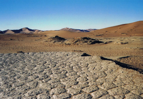 Deserto namibiano