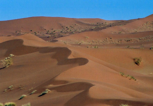 Il deserto più vecchio al mondo, il Namib