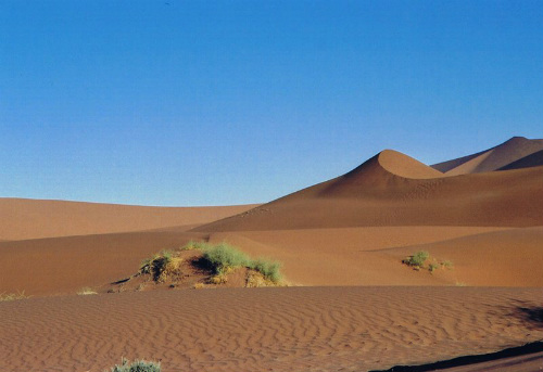 Deserto del Namib