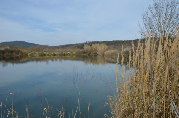 Il lago nei pressi del Cornia vicino Suvereto