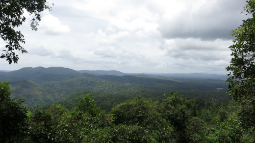 Vista da Skyrail Cableway