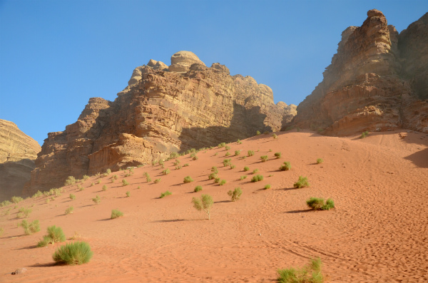 I colori del Wadi Rum