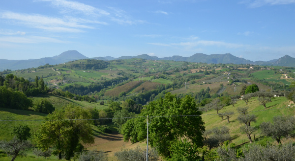 Le colline dell’entroterra marchigiano