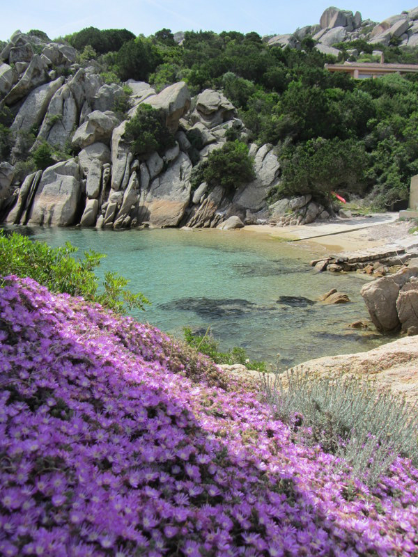In primavera fioriscono le spiagge, Sardegna