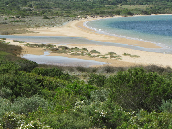 Spiaggia di Padula Piatta, Costa Serena Palau