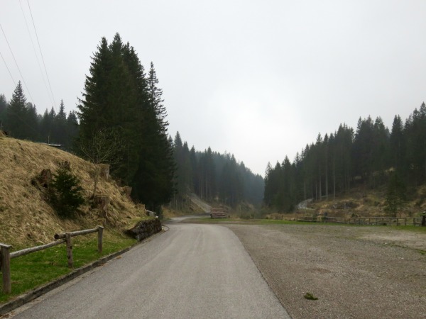 Strada tra i boschi che sembra non condurre a nulla; Collina, frazione di Forni Avoltri 