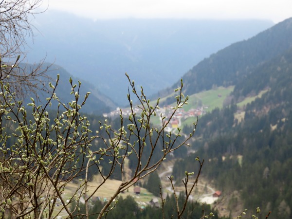 Vista di Collina, frazione di Forni Avoltri