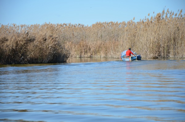 Un pescatore all’Albufera