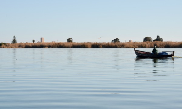 All’Albufera tra pescatori e avvistamento uccelli