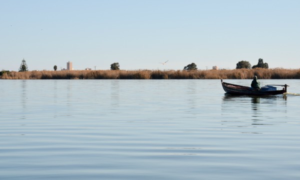 All’Albufera tra pescatori e avvistamento uccelli 