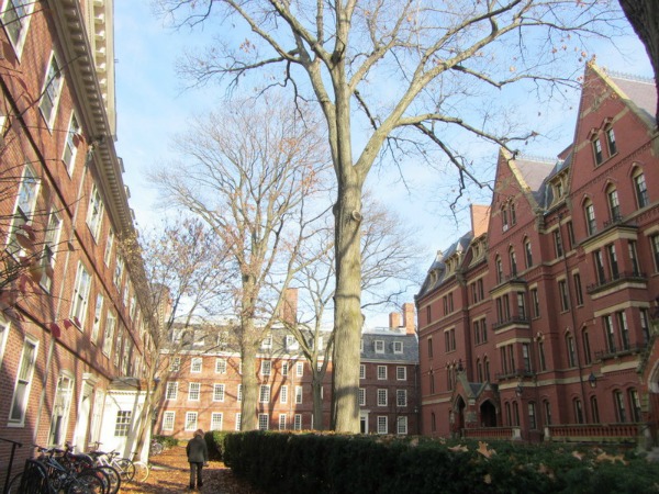 Harvard, Boston