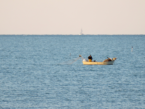 Raccogliere il mare, un pescatore al mattino