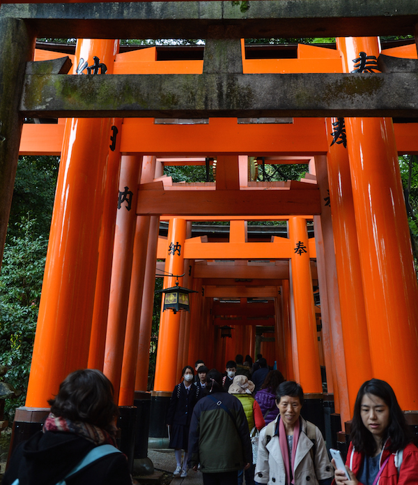 I torii rossi di Fushimi Inari