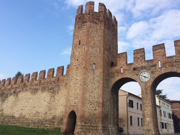 Montagnana, ingresso