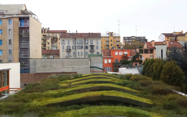 Un tetto coperto di giardini a Milano