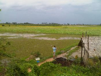 Siem Reap (Cambogia): Lara Croft-Tomb Raider primo tempo…