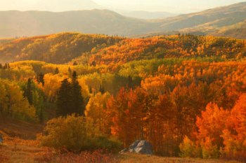 Qualche idea per l’autunno alle porte