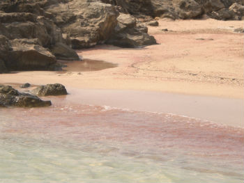 Minorca, le spiagge più belle tra nord e sud